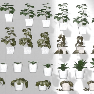 Plant Cycle ×96 缩略图 6