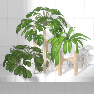 Plant×10/Pot×6/Stand×4