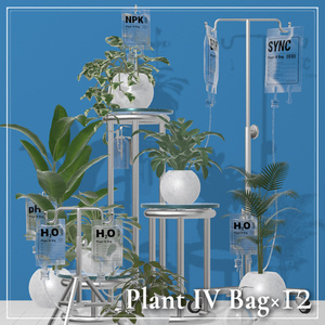 Plant IV Bag×12