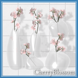 Cherry blossom