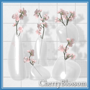 Cherry blossom