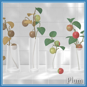 Plum