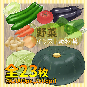 野菜イラスト素材セット（全23種類）