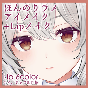 【ミルティナ Milltina専用】ほんのりラメアイメイク+リップメイクテクスチャ