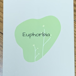Euphorbia