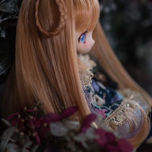 カスタムヘッド 〈OBヘッド 『KAISER』〉 - wisteriachien - BOOTH カスタムヘッド 〈OBヘッド 『KAISER』〉 - wisteriachien - BOOTH