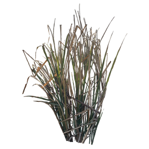 雑草grass切り抜き素材二色三種類(アルファ含む)png形式