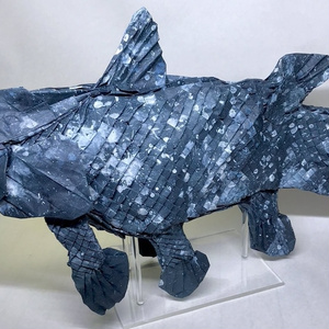 Coelacanth unfolded diagram PDF CP ORH De...