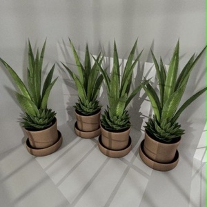 屋内ポットプラント3 3Dモデル 3D Model VRChat vrc