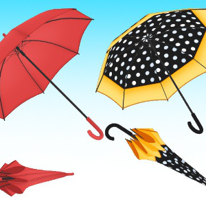 [fbx] Umbrella set of 2