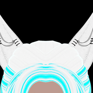 Ears 3d Model (Commercial Use)