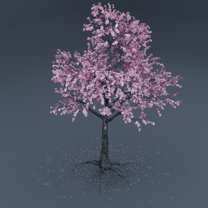 SACRED SAKURA - 霊桜 - Blooming Cherry Blossom Tree Asset