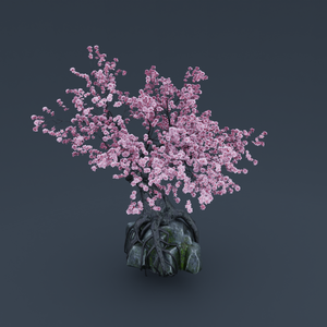 ETERNAL SAKURA - 常春の桜 - Traditional Cherry Blossom Asset