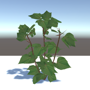 【3Dモデル】アカメガシワ（日本の草木）