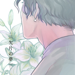 欠片の夢【光エメ】
