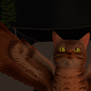 CATBIRD [キャットバード]