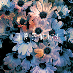画像素材Vol.179