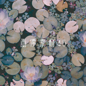 画像素材Vol.45