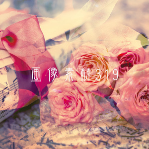 画像素材Vol.319
