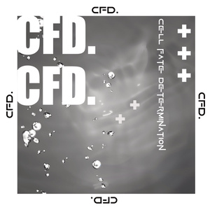 CFD.
