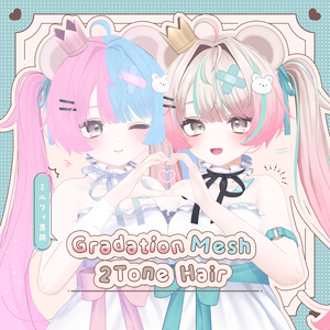 【ミルフィ専用】Gradation Mesh＆2Tone Hair【セットアップ動画付き】