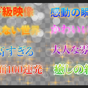 【Prテンプレ】キラキラ表出するテレビテロップ(.mogrt)
