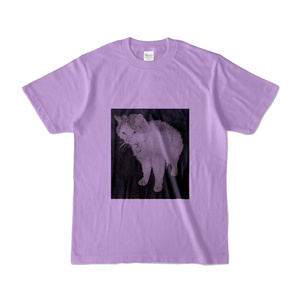 I drew the original picture with a mechanical pencil; it's a T-shirt with a cat on it...