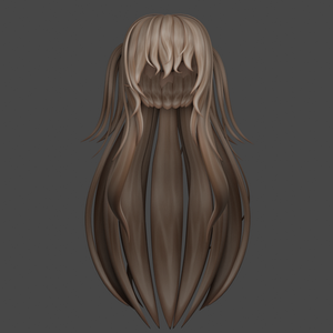 Half Up Half Down with Pigtail