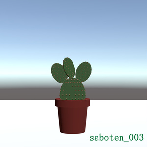 サボテン3種盛り 缩略图 4