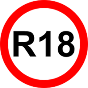 S: R18 [BlendShaped]