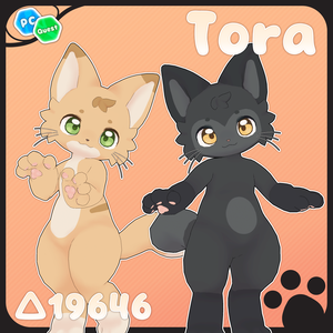 オリジナル3Dモデル 【Tora】