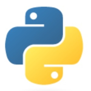 【執筆中のため割引】Pythonプログラミング基本演習(電子書籍、50ページ)