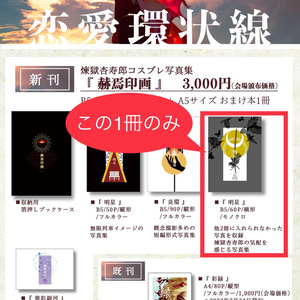5/4スパコミ新刊・『赫焉印画』単品②
