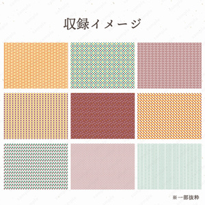 アイドルチェキ「FR2PON!.」チェキセット　57枚セット 🎀メンバー個別チェキ🎀 #葉山雫 #PixelRibbon #ピクセルリボン