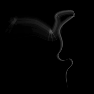 Cigarette Smoke particle
