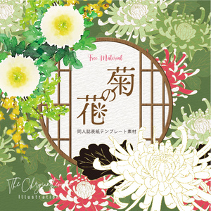 【印刷用】菊の花の素材