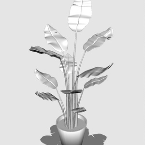 【3D】観葉植物/ストレチア(fbx)