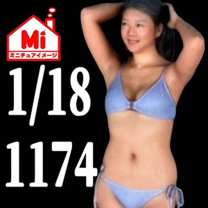 1/18★1174★フィギュア★リアルフィギュア★1/64より大★完成品★ミニチュアイメージ★ミニカーに★ジオラマに★塗装済完成品★ヌミック