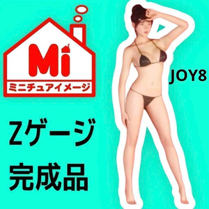 Zゲージ　1/220 JOY8 フィギュア　リアルフィギュア　完成品　鉄道模型　ジオラマ　レイアウト　３D人物