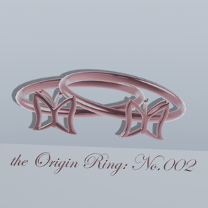 the Origin Ring：No002
