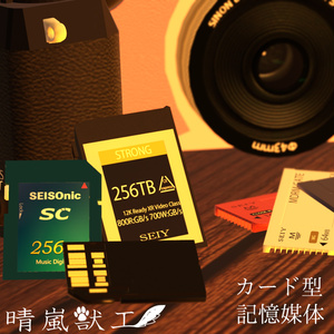 カード型記録媒体