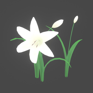 Unity] Blooming White Lily Flower Particle Shader [Early Access Version