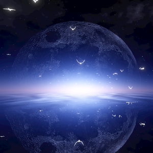 Unity] Flying Birds - 2 bird particle shaders (with mesh) [Early Access Version
