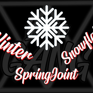 Winter Snowflake SpringJoint