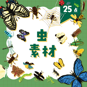 【商用利用OK】虫素材