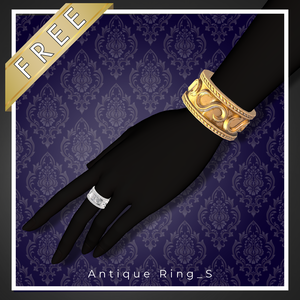 【Free】Antique Ring_S【骨直下配置式】