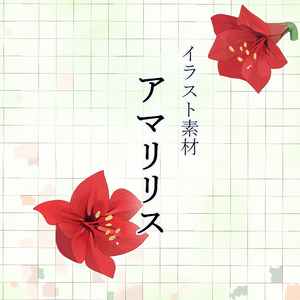 アマリリス_イラスト素材
