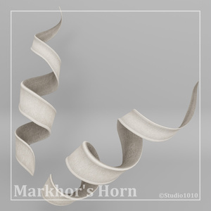 角 vol.3D_マーコール