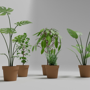 観葉植物5種 缩略图 3