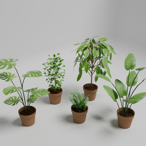 観葉植物5種 缩略图 2